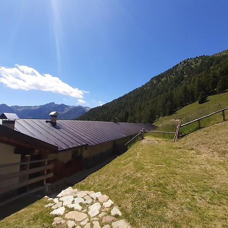 Restor Natura Malga Mondent Hotel Pracorno di Rabbi Buitenkant foto