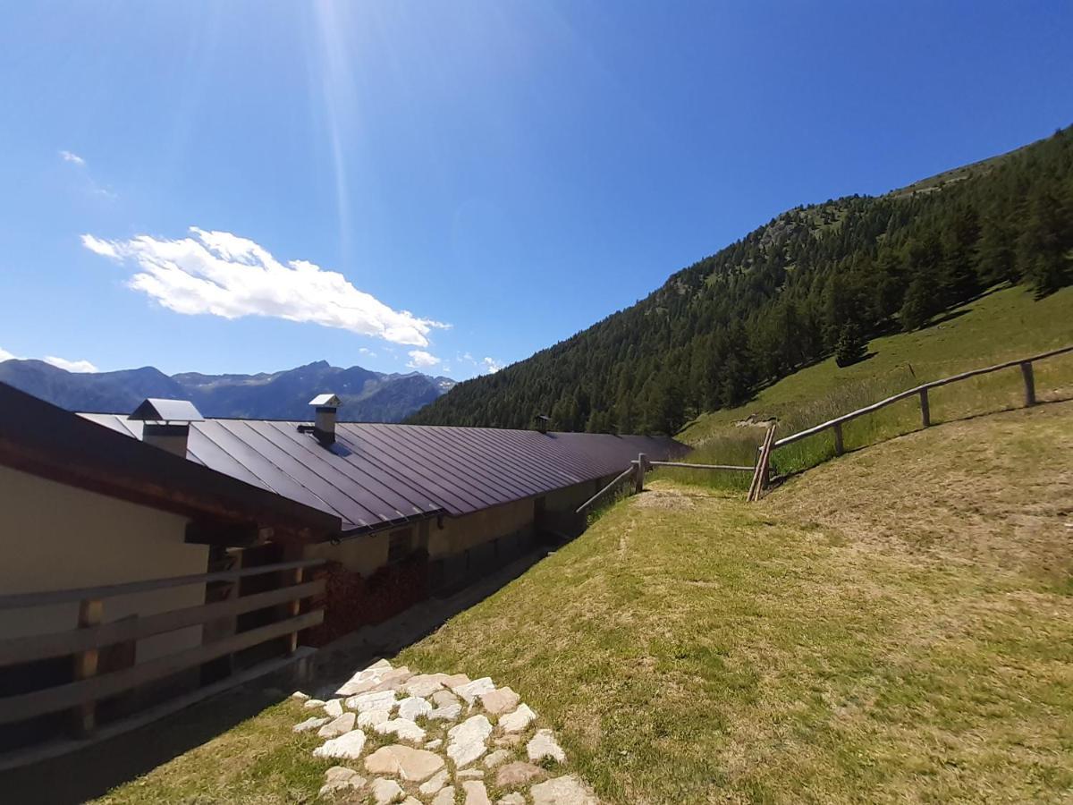 Restor Natura Malga Mondent Hotel Pracorno di Rabbi Buitenkant foto