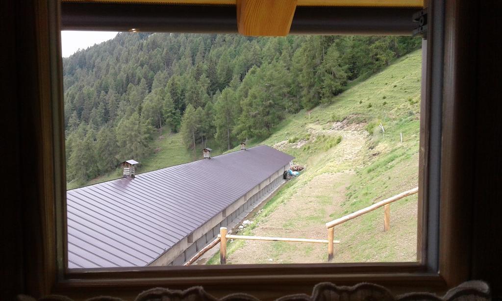 Restor Natura Malga Mondent Hotel Pracorno di Rabbi Buitenkant foto